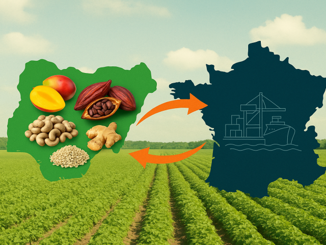 What Can Nigeria Export to France? Opportunities in Agro-Trading