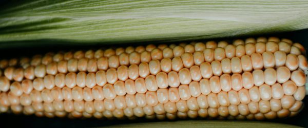 pexels-iriser-1353866