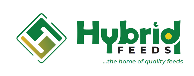 image-removebg-preview-2