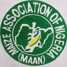 maize-association