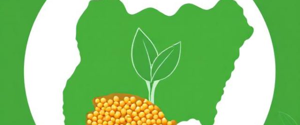Nigeria Launches National Soybean Expansion Strategy – Targeting