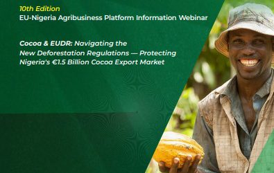 WhatsApp Image 2026-03-06 at 10.07.25